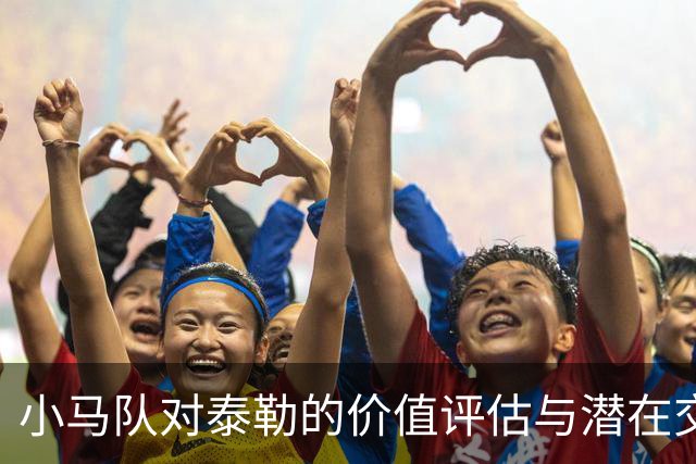 小马队对泰勒的价值评估与潜在交易分析
